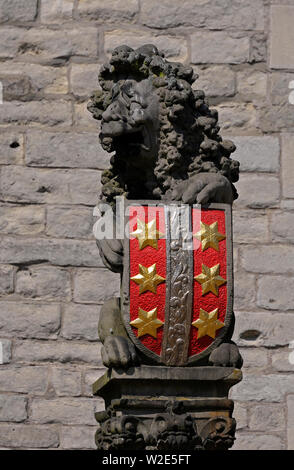 Gouda, Zuid Holland/Pays-Bas - 22 juillet 2014 : lion avec armoiries de gouda à l'hôtel de ville historique Banque D'Images