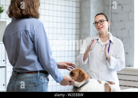 Le vétérinaire et le client avec le chien de discuter du traitement dans une clinique vétérinaire. Banque D'Images