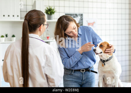 Le vétérinaire et le client avec le chien de discuter du traitement dans une clinique vétérinaire. Banque D'Images