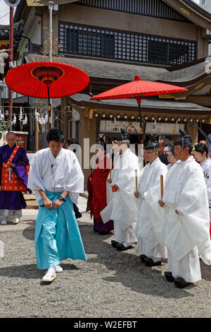 TOKYO, JAPON, le 18 mai 2019 : Sanja Matsuri est l'un des grands festivals Shinto de Tokyo et a lieu en mai, dans le quartier d'Asakusa Senso-ji, autour de temp Banque D'Images