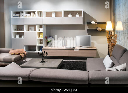 Salon moderne avec intérieur rembourré confortable canapés marrons face à un cabinet d'affichage et de télévision éclairée par les lumières et une lampe Banque D'Images