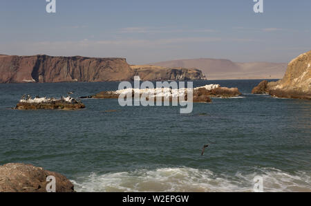 Vue sur la mer dans la réserve nationale de Paracas Banque D'Images