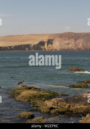 Vue sur la mer dans la réserve nationale de Paracas Banque D'Images