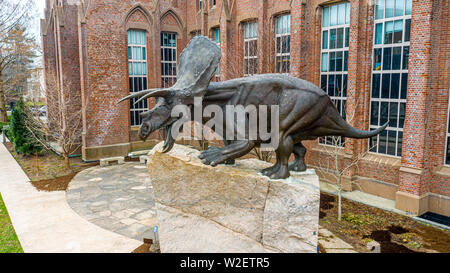 La Yale Peabody Museum of Natural History, New Haven, CT, USA Banque D'Images
