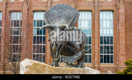 La Yale Peabody Museum of Natural History, New Haven, CT, USA Banque D'Images
