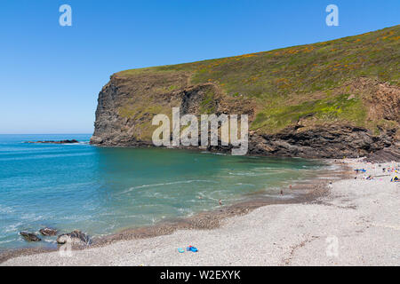 La côte au Crackington Haven sur une belle journée d'été. Europe Royaume-Uni Angleterre Cornwall Banque D'Images