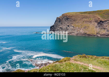 La côte au Crackington Haven sur une belle journée d'été. Europe Royaume-Uni Angleterre Cornwall Banque D'Images