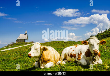 Vue sur les vaches devant Steinlingkapelle à côté de montagne Kampenwand, Bavière Banque D'Images