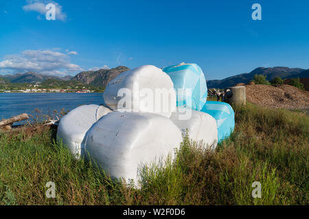 Quelques bottes de foin enveloppés de plastique blanc et bleu au Lysefjord en Norvège Banque D'Images