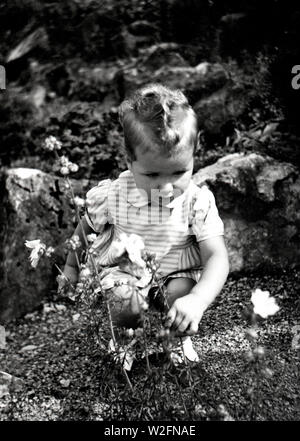 Eva Braun Collection (osam) - petit fille allemande (bébé) la cueillette des fleurs ca. fin des années 1930 ou au début des années 1940 Banque D'Images