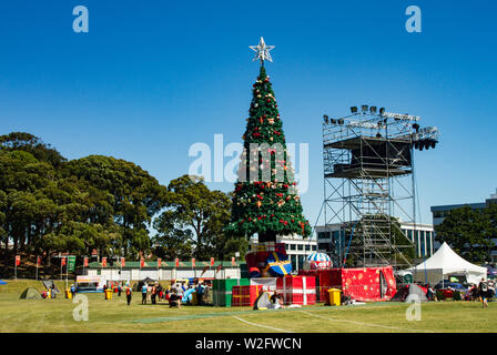 Noël dans le parc à l'Auckland Domain, Nouvelle-Zélande Banque D'Images