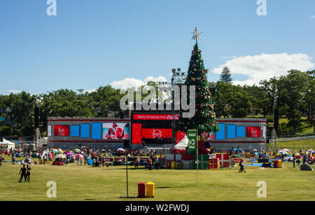 Noël dans le parc à l'Auckland Domain, Nouvelle-Zélande Banque D'Images