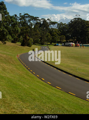 Vide curving road à l'Auckland Domain sur une claire journée d'été Banque D'Images