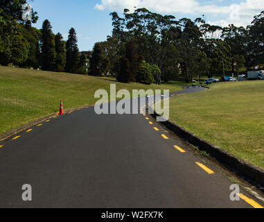 Vide curving road à l'Auckland Domain sur une claire journée d'été Banque D'Images