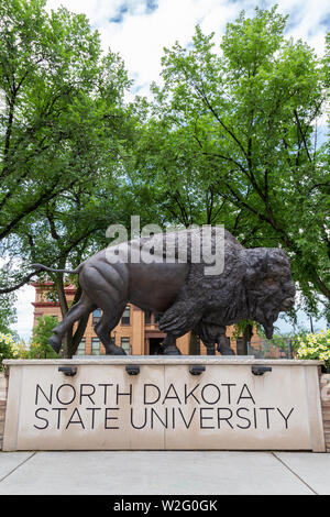FARGO, ND/USA - 27 juin 2019 : Statue de bison sur le campus de l'Université d'État du Dakota du Nord. Banque D'Images