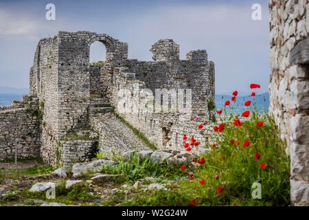 Dans les ruines du château château Kalaja, Berat, Albanie Banque D'Images