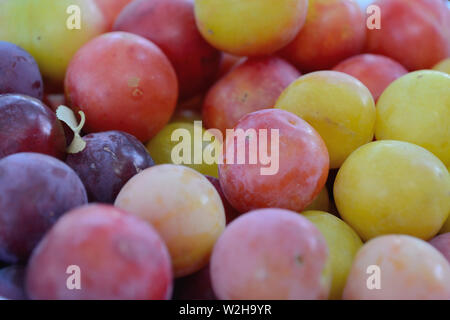 Close up of Prunus cerasifera, cherry-prunes Banque D'Images