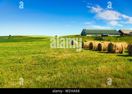 Meules sur champ vert à l'été en Pologne. Un ciel parfait, maison de ferme sur l'arrière-plan Banque D'Images