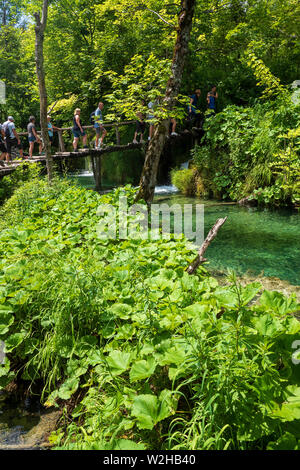 Beaucoup de gens la mise en queue sur le trottoir pour traverser un petit pont, même les lacs de Plitvice Parc national en Croatie a introduit le contrôle des foules recentl Banque D'Images