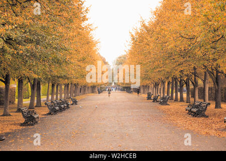 Paysage paisible de avenue ombragée d'arbres dans Regent's Park de Londres avec des gens de la marche et de la course à l'arrière-plan Banque D'Images