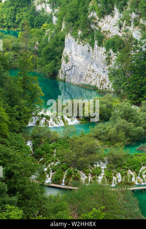 Se précipiter vers le bas des cascades d'eau douce pure les barrières naturelles dans le lac Kaluđerovac couleur turquoise au parc national des Lacs de Plitvice en Croatie Banque D'Images