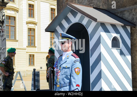 Prague, République tchèque - 27 juin 2019 : membre masculin de la garde du château de Prague en face du stand par le Château de Prague. Garde côtière canadienne et de défendre le siège du Président de la République tchèque. Banque D'Images