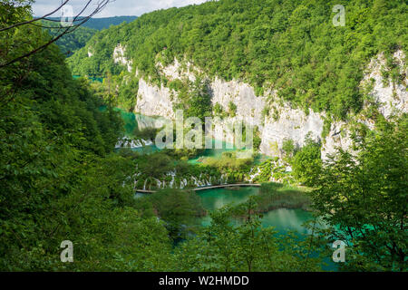 Se précipiter vers le bas des cascades d'eau douce pure les barrières naturelles dans le lac Kaluđerovac couleur turquoise au parc national des Lacs de Plitvice en Croatie Banque D'Images