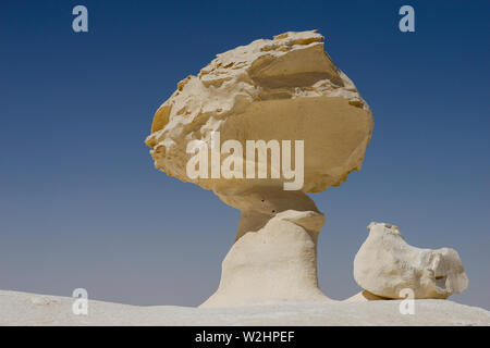 L'EGYPTE, Farafra, Nationalpark Désert Blanc , bizarre et unique de champignons blancs comme les roches de craie façonné par le vent et l'érosion du sable au cours du siècle dans la région de dunes de sable Banque D'Images