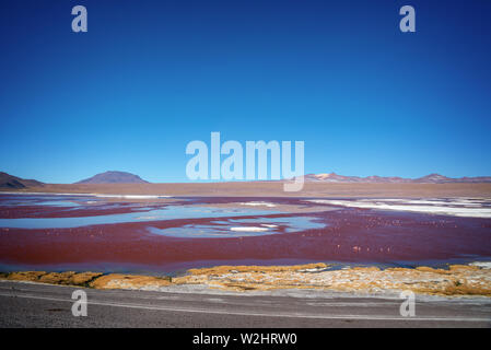 Vue sur la Laguna Colorada, salt lake colorés dans Sur Lipez province, Potosi, en Bolivie Banque D'Images