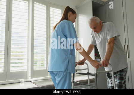 Femme médecin aider senior homme à marcher avec walker Banque D'Images
