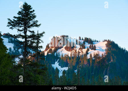 Paradise Salon à Mount Rainier National Park, Washington State, USA Banque D'Images