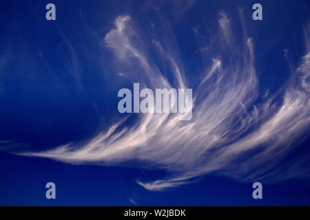 Rotterdam, Zuid Holland/Pays-Bas - 24 juillet 2014 : un impressionnant nuage cirrus blancs fomation against a blue sky Banque D'Images