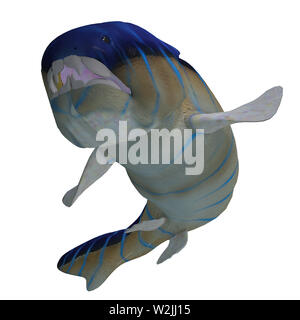 Dunkleosteus était un poisson des placodermes carnivores qui vivait dans les mers du Dévonien. Banque D'Images