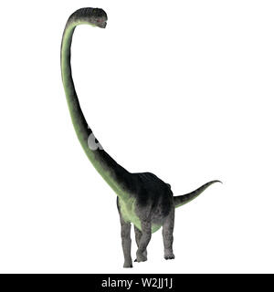 Omeisaurus était un dinosaure sauropode herbivore qui vivait en Chine au cours de la période jurassique. Banque D'Images