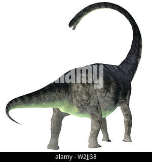 Omeisaurus était un dinosaure sauropode herbivore qui vivait en Chine au cours de la période jurassique. Banque D'Images