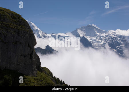 La belle vue à partir de la daube, alias Tuba, sur Schynige Platte, Suisse : Gumihorn sur la gauche, le sommet enneigé de la Jungfrau dans la distance Banque D'Images