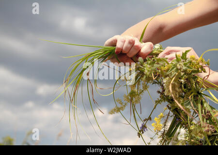 Mains de femme l'élaboration de la guirlande de fleurs sur fond bleu ciel nuageux, tête floral couronne dans la nature Banque D'Images