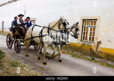 Cortejo n'Mordomo Mordomo ( "procession"). Festa Dos Tabuleiros (le Festival des bacs) à Tomar, Portugal Banque D'Images