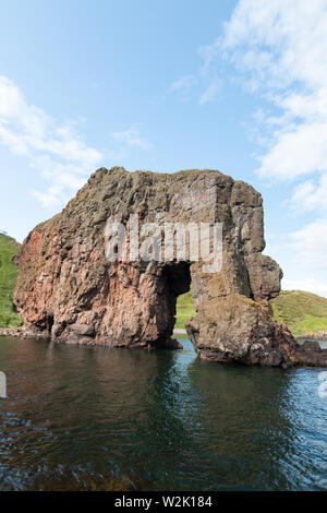 Roche de l'éléphant le long de Boddin point, près de Montrose, Ecosse Banque D'Images