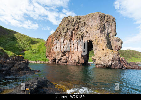 Roche de l'éléphant le long de Boddin point, près de Montrose, Ecosse Banque D'Images