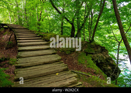 Passerelle en bois qui traverse la forêt dense au parc national des Lacs de Plitvice en Croatie Banque D'Images