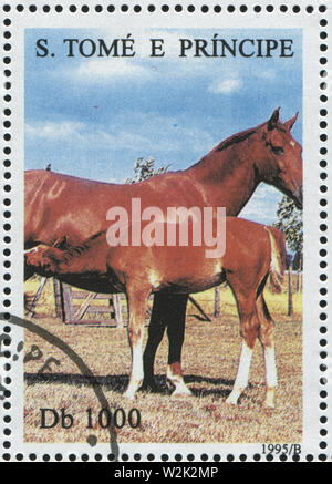 Russie KALININGRAD, 28 mars 2019 : timbres par Sao Tomé-et-Principe montre cheval, circa 1995 Banque D'Images