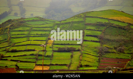 Collines de l'île de Terceira, Açores Banque D'Images