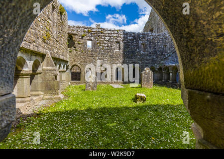 Ruines de Ross Errilly Friary en Headford Co. fondé 1351 annonce l'un des plus beaux monastères franciscain médiéval en Irlande Banque D'Images