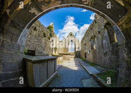 Ruines de Ross Errilly Friary en Headford Co. fondé 1351 annonce l'un des plus beaux monastères franciscain médiéval en Irlande Banque D'Images