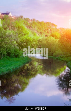 Petite rivière calme avec réflexion parmi l'herbe verte fraîche, arbres et arbustes Banque D'Images