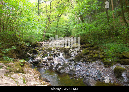 Une rivière traverse une vallée boisée, dans le Nord du Yorkshire. Banque D'Images