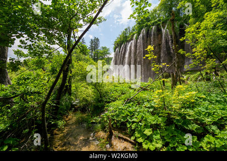 Vue sur le Galovački buk, le Galovac Cascade, au parc national des Lacs de Plitvice en Croatie Banque D'Images