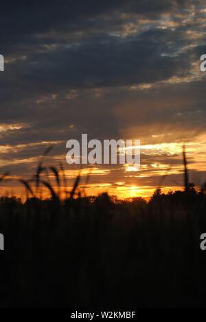 Coucher de soleil sur les champs de Suffolk, été orange jaune soleil avec des nuages sombres Banque D'Images