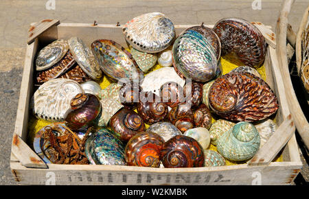 Fort de coquillages colorés sur le port d'Héraklion en Crète Banque D'Images